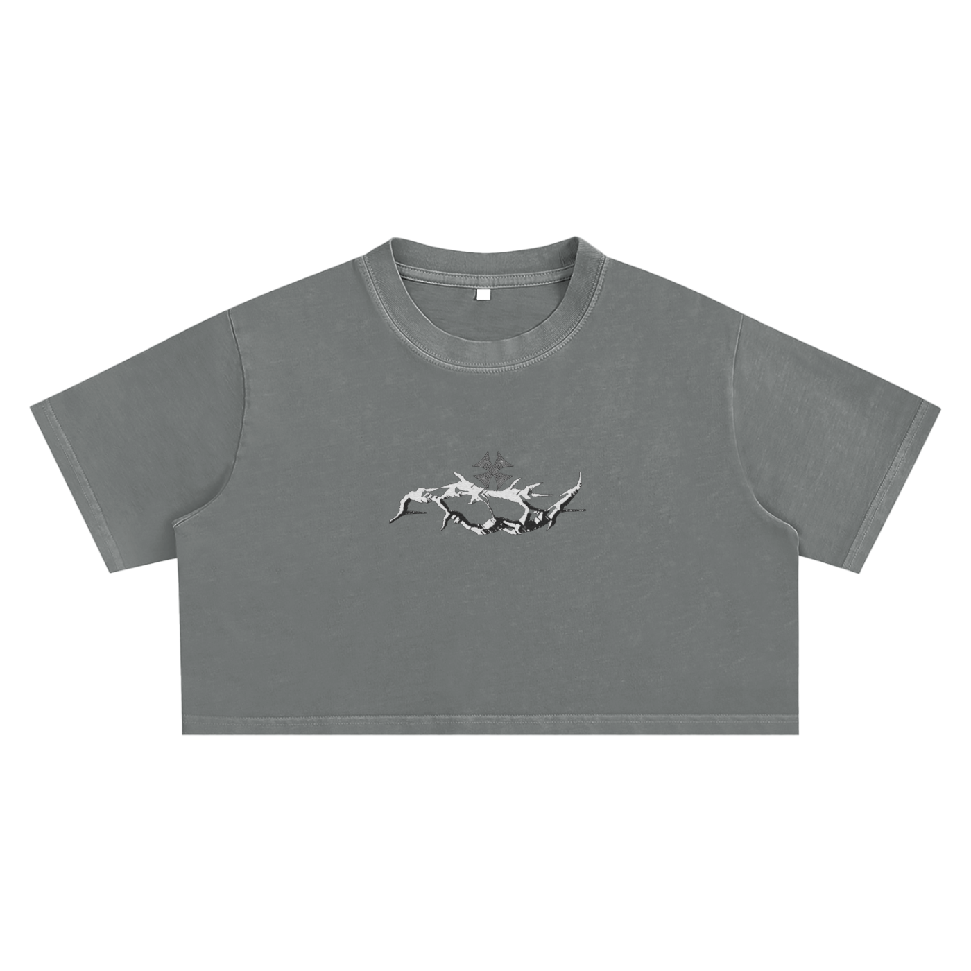 Snow Crop Top